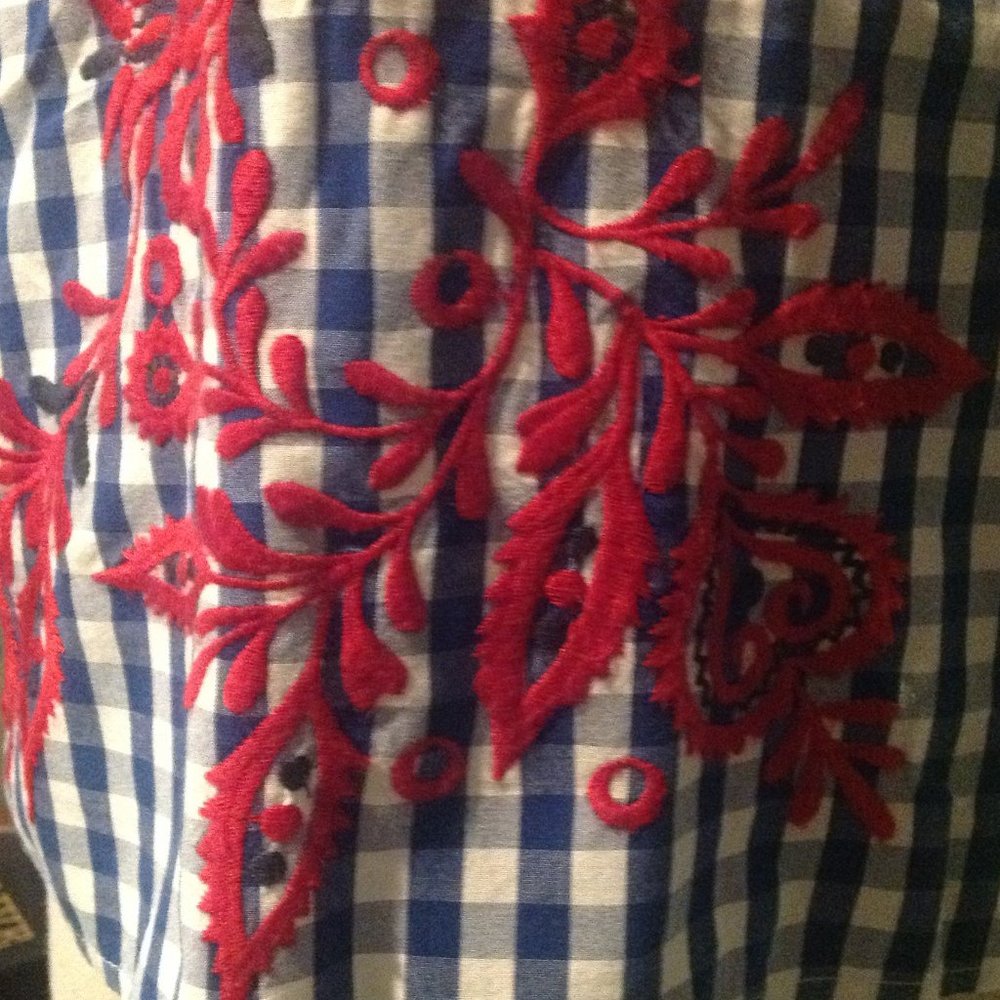 Blue Gingham Embroidered cropped top